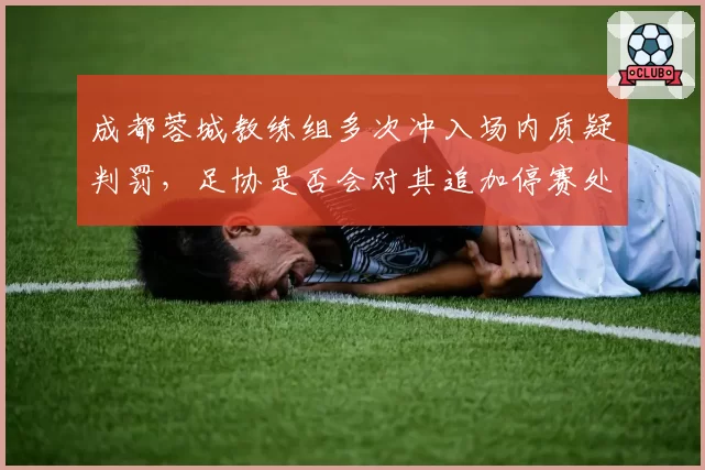 成都蓉城教练组多次冲入场内质疑判罚，足协是否会对其追加停赛处罚？